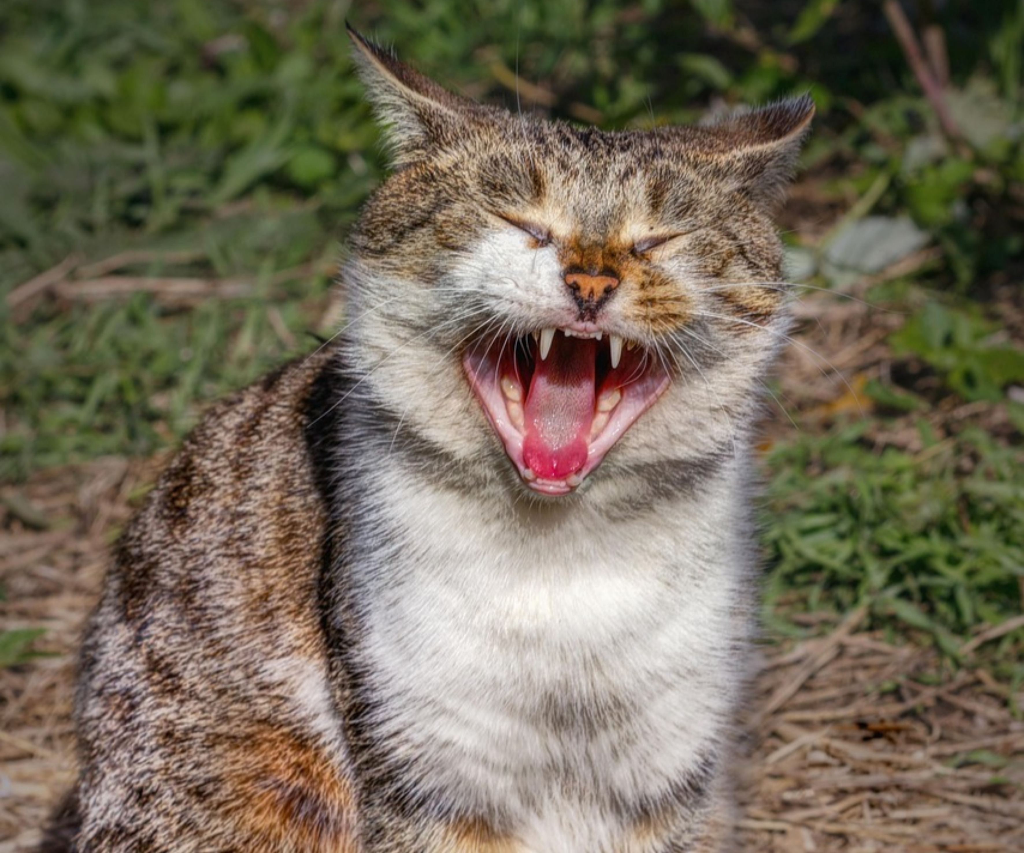 수면부족 관련 만성질환