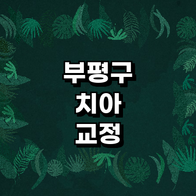 인천 부평구 교정 치과