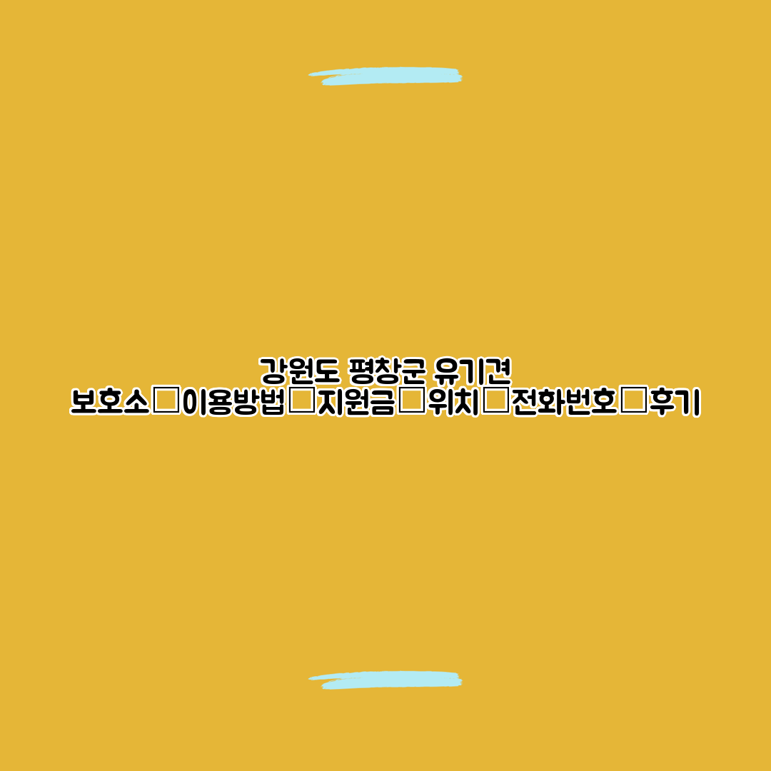 강원도 평창군 유기견 보호소┃이용방법┃지원금┃위치┃전화번호┃후기