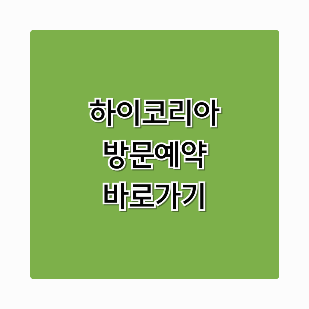 하이코리아 방문예약 바로가기 – 출입국 민원 빠르게 처리하는 법