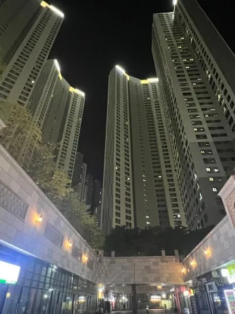 일산 가볼만한곳 베스트10 숨겨진 명소_18