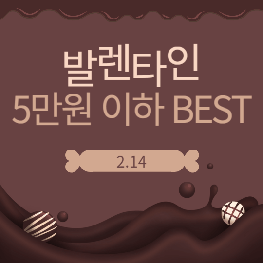 발렌타인데이 선물 5만원 이하