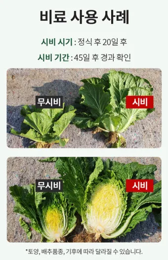 비료 주는 시기 기비 추비 요소 인산 가리 엽면시비_22