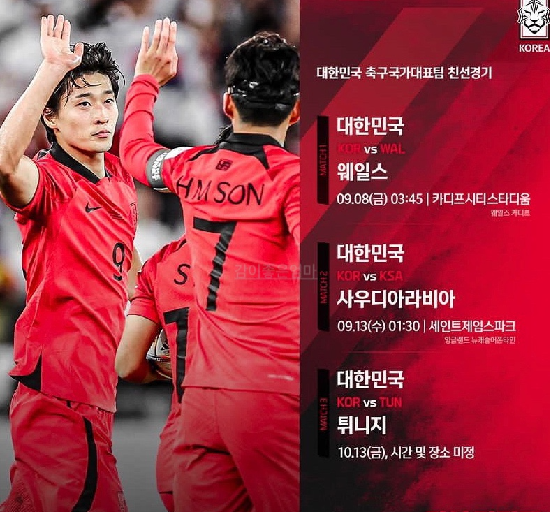 한국 웨일스
