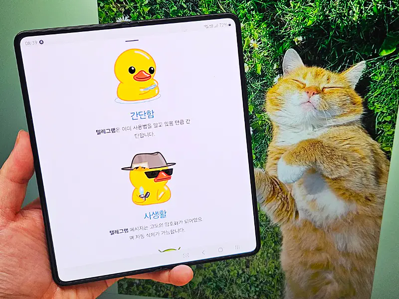 카톡-대체-텔레그램