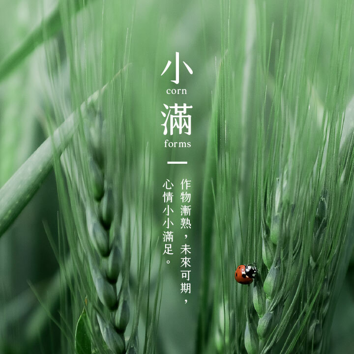 계절의 변화를 세분화한 24 절기 중 '소만' 이해하기