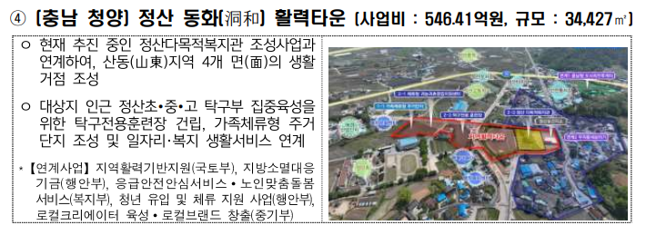 2025 지역활력타운 특징.혜택