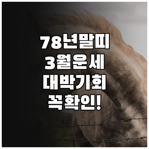 1978년생 말띠 2026년 3월 통..