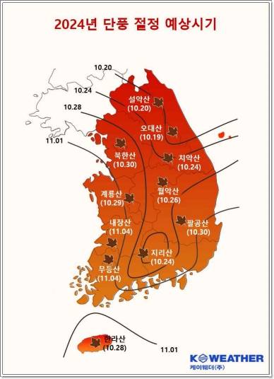 2024 단풍시기