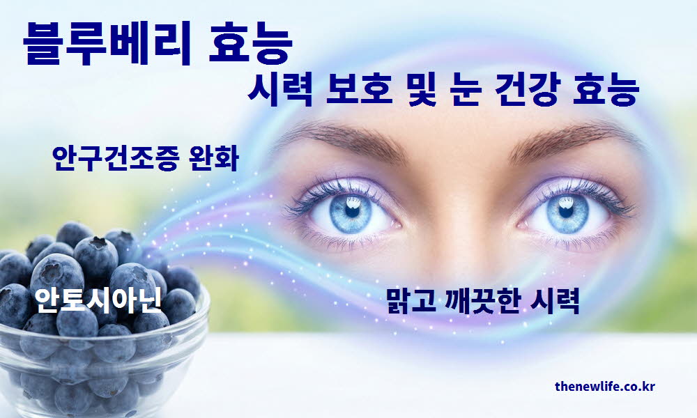 블루베리 효능이 시력을 보호하고 눈 건강을 지켜주는 원리를 설명하는 이미지