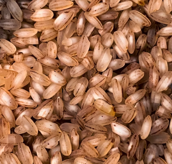 당뇨병에 좋은 음식 영양제 식단