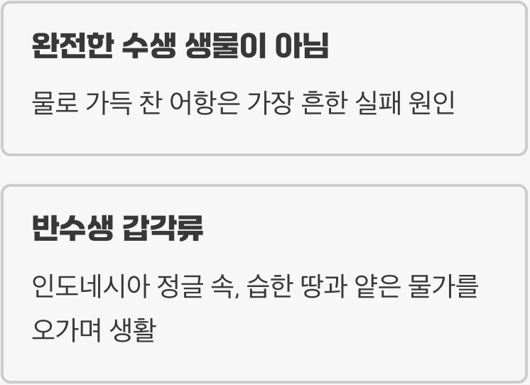 뱀파이어크랩, 물속에만 살지 않아요