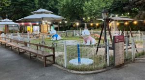 반려견과 함께하는 전국휴게소