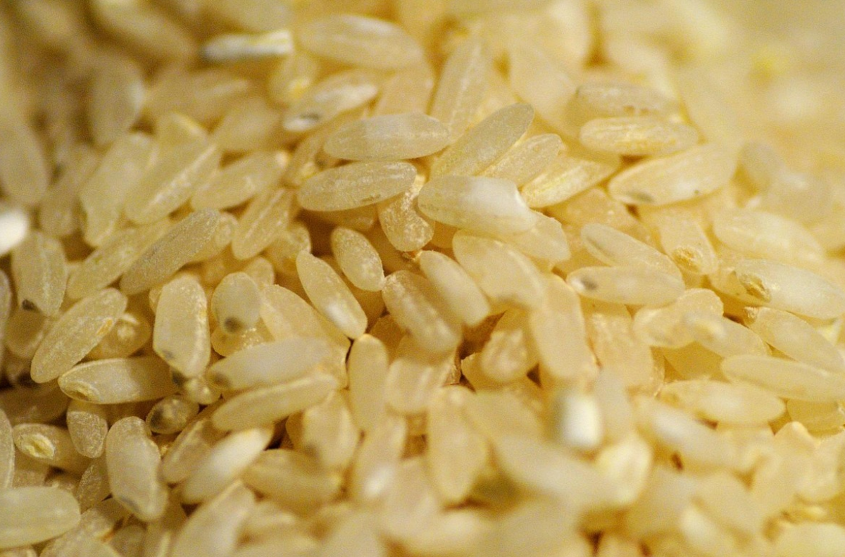 40대 이후 장 건강 음식 현미