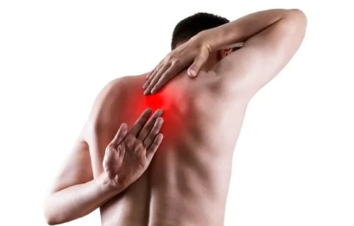 중간 등(흉추) 통증 원인