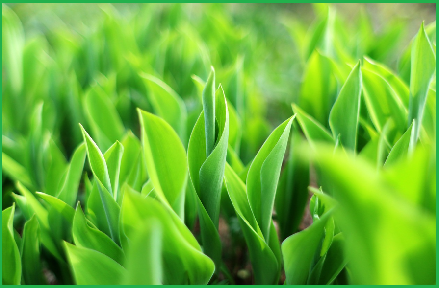 가습기-종류와-특징