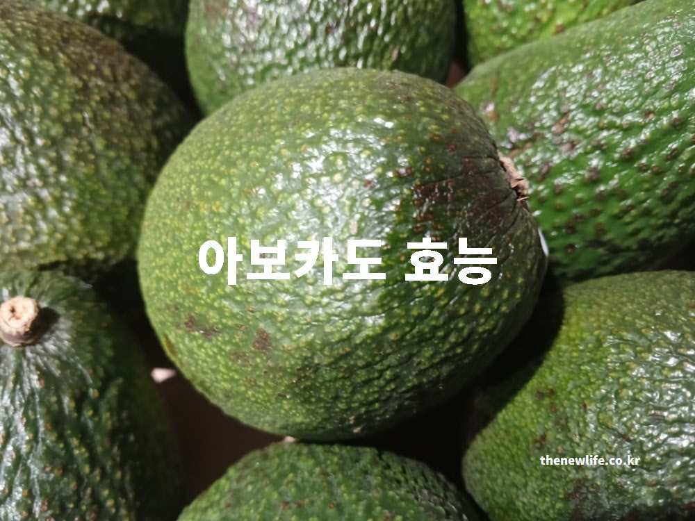 아보카도 효능 대표 실사진