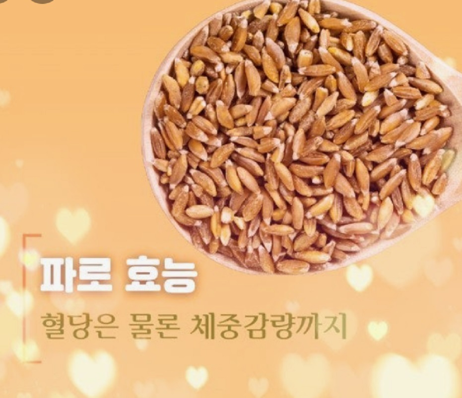 엄지의제왕-파로-혈당다이어트