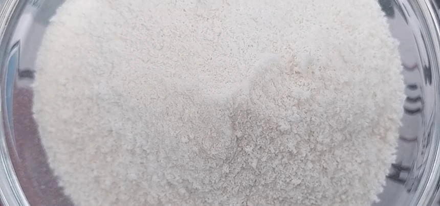 덴마크 락토프리 유산균 분말 복용법