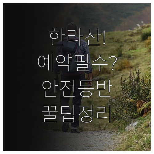 한라산 등산 전 확인해야 할 예약 절..