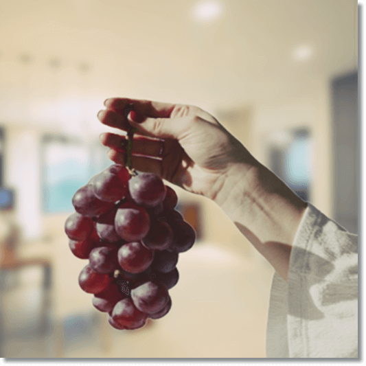 거봉 주의점, 거봉 들고 있는 여성