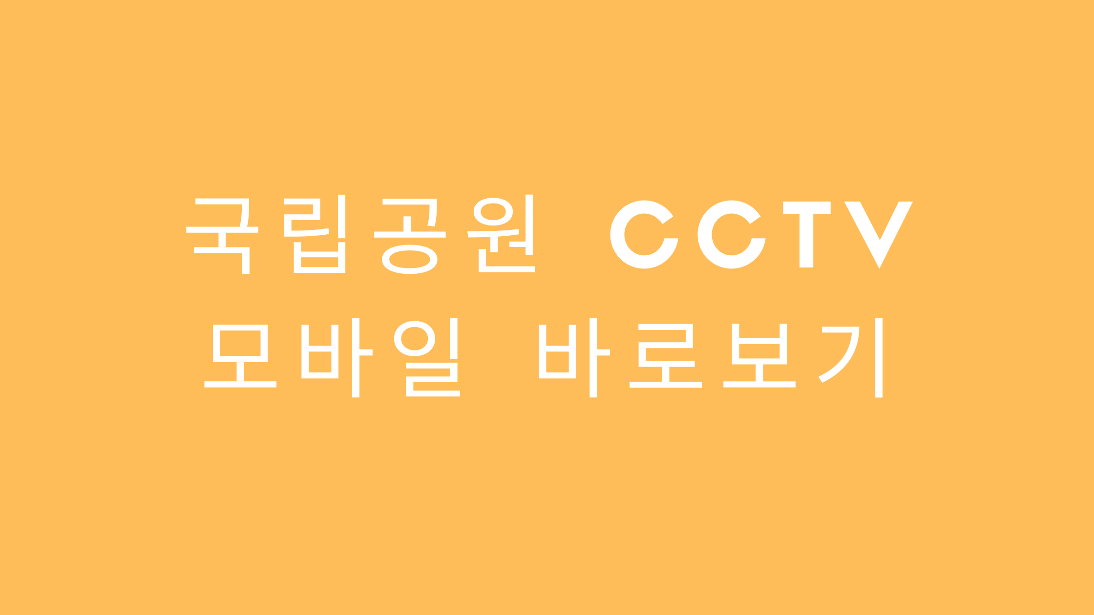 국립공원 cctv 바로보기