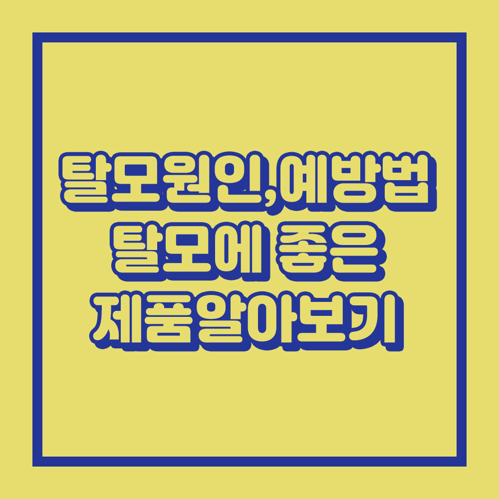 탈모원인과 예방법