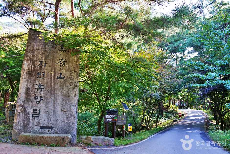 조령산 자연휴양림