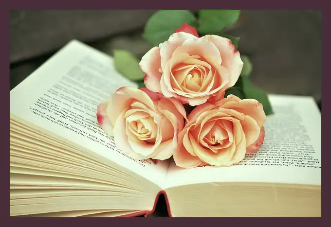 작별하지 않는다 줄거리