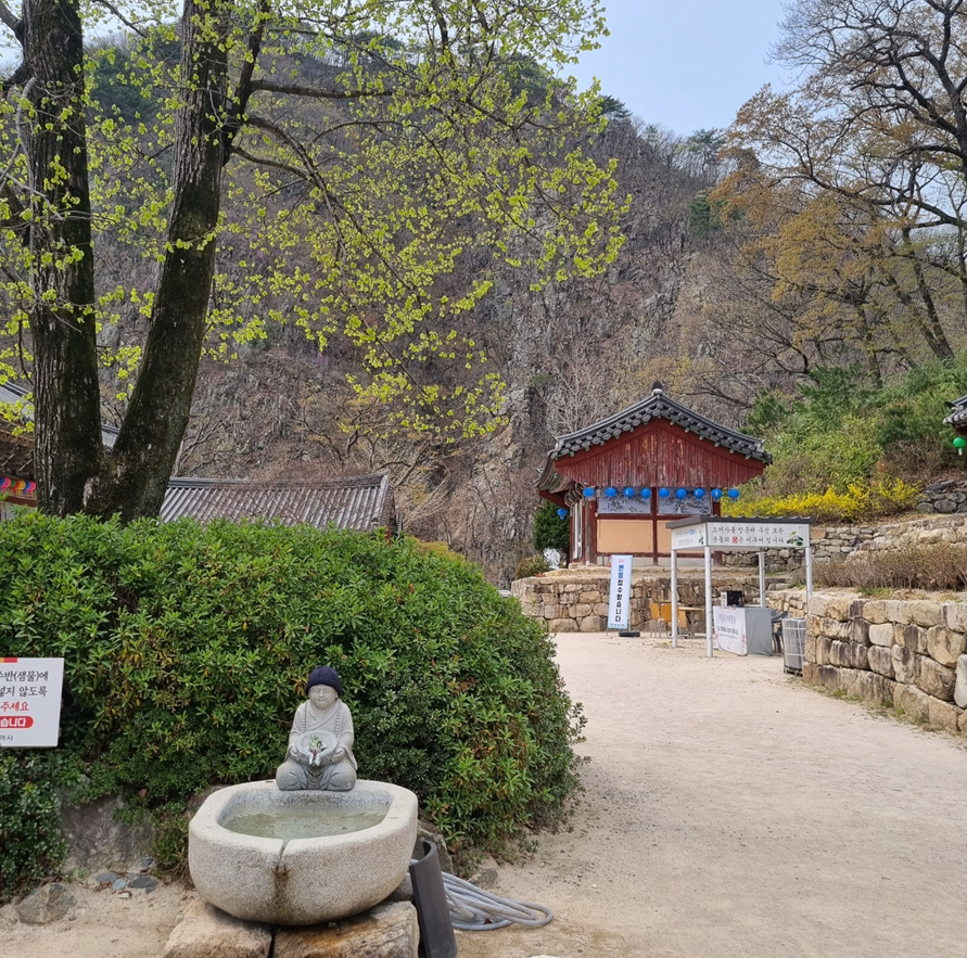 포항 오어사 힐링여행 (자연, 사찰, 봄나들이)