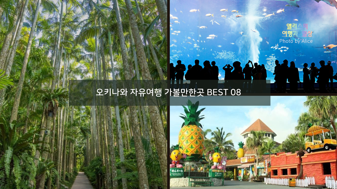 오키나와 자유여행 가볼만한곳 BEST 08 추천코스
