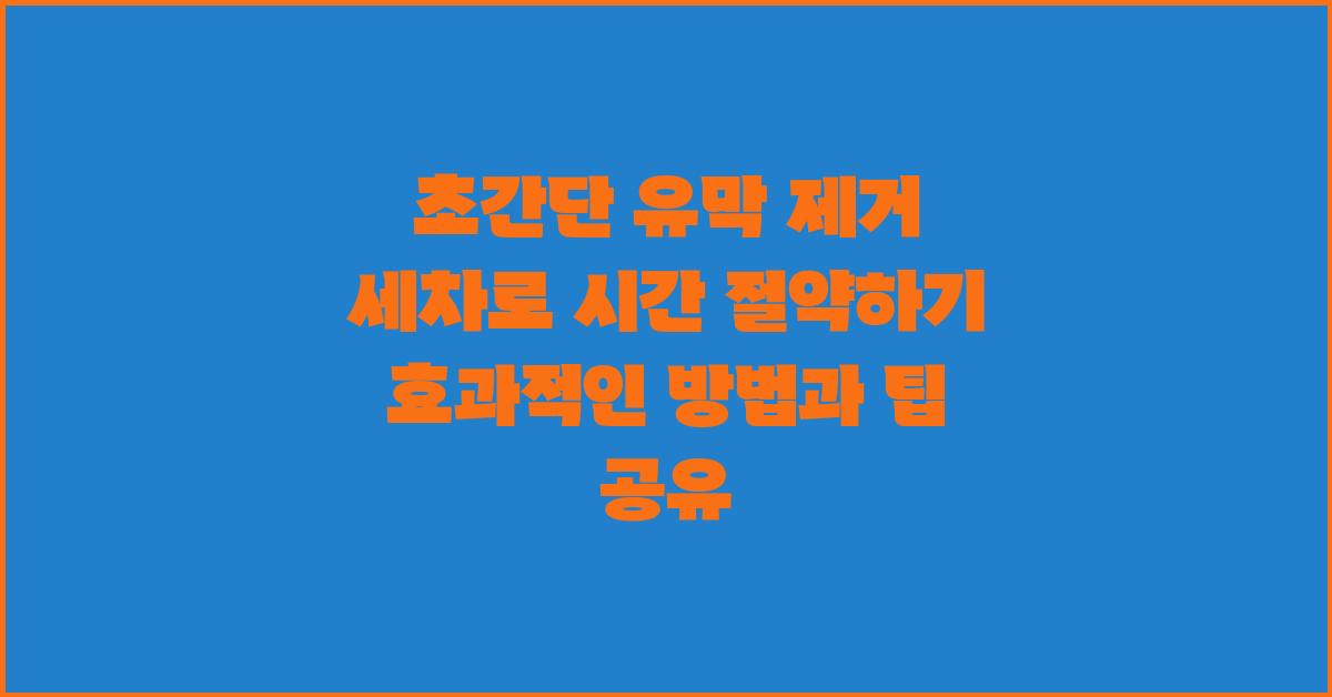 초간단 유막 제거 세차, 시간 절약하기