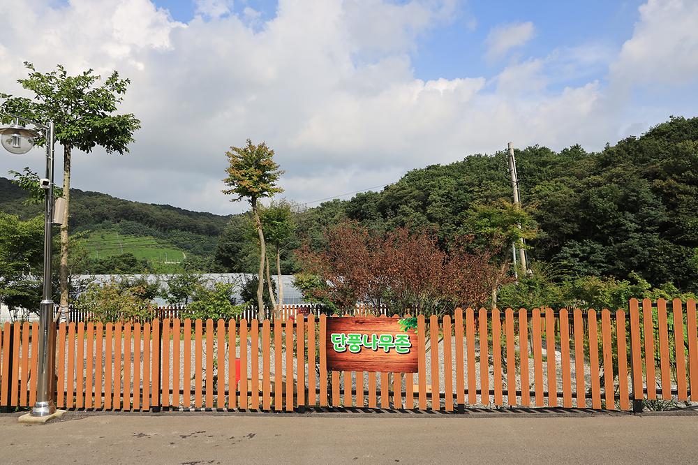 성남시 청계산골든밸리캠핑장 소개