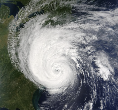 강원영동 최대500mm 예상