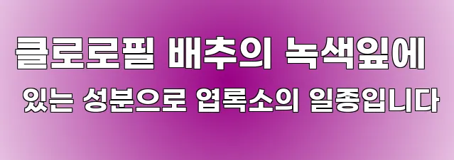 클로로필 배추의 녹색잎에 있는 성분으로 엽록소의 일종입니다