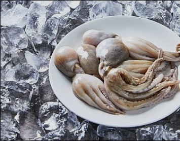 타우린-많은-음식