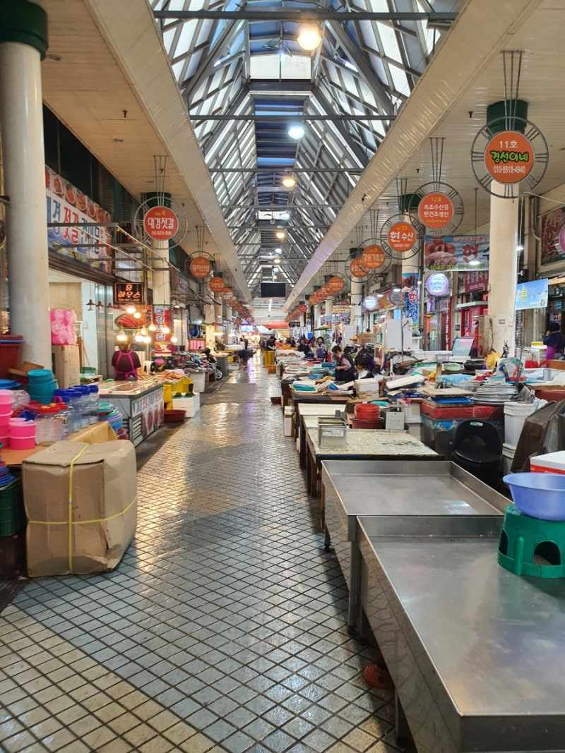 속초 씨크루즈 호텔 근처 맛집