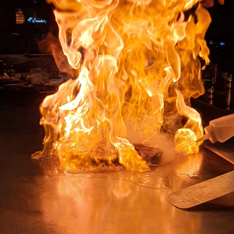 알고계십니까 산림욕장, 족욕체험, 오마카세 철판 코스요리 맛집, 메타세콰이어 숲 힐링 여행 가볼만한 곳 추천 대전 위치 어디 추천 다시보기