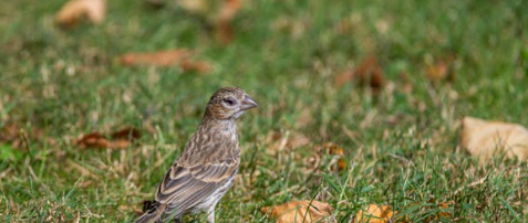 공매 (온비드) 전략 3가지