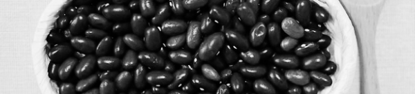 강낭콩 보관방법: 유의 사항