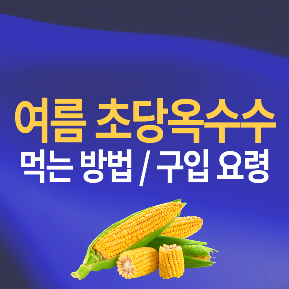 초당옥수수 먹는 방법 전자레인지 찌는법 초당 뜻