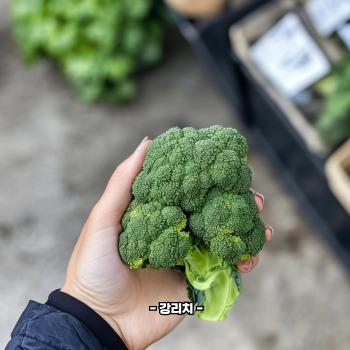 루테인 많은 음식