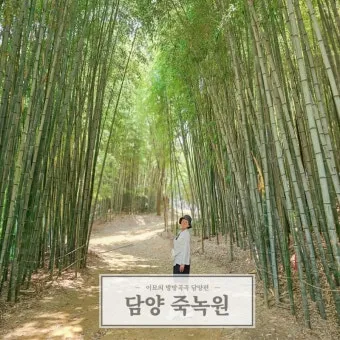 담양 죽녹원 소아르호텔 숙박 맛집_12