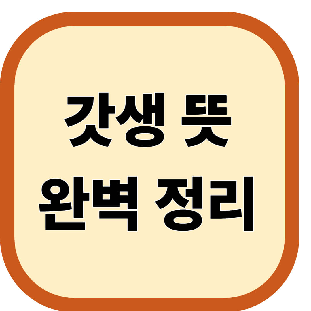 갓생 뜻 완벽 정리