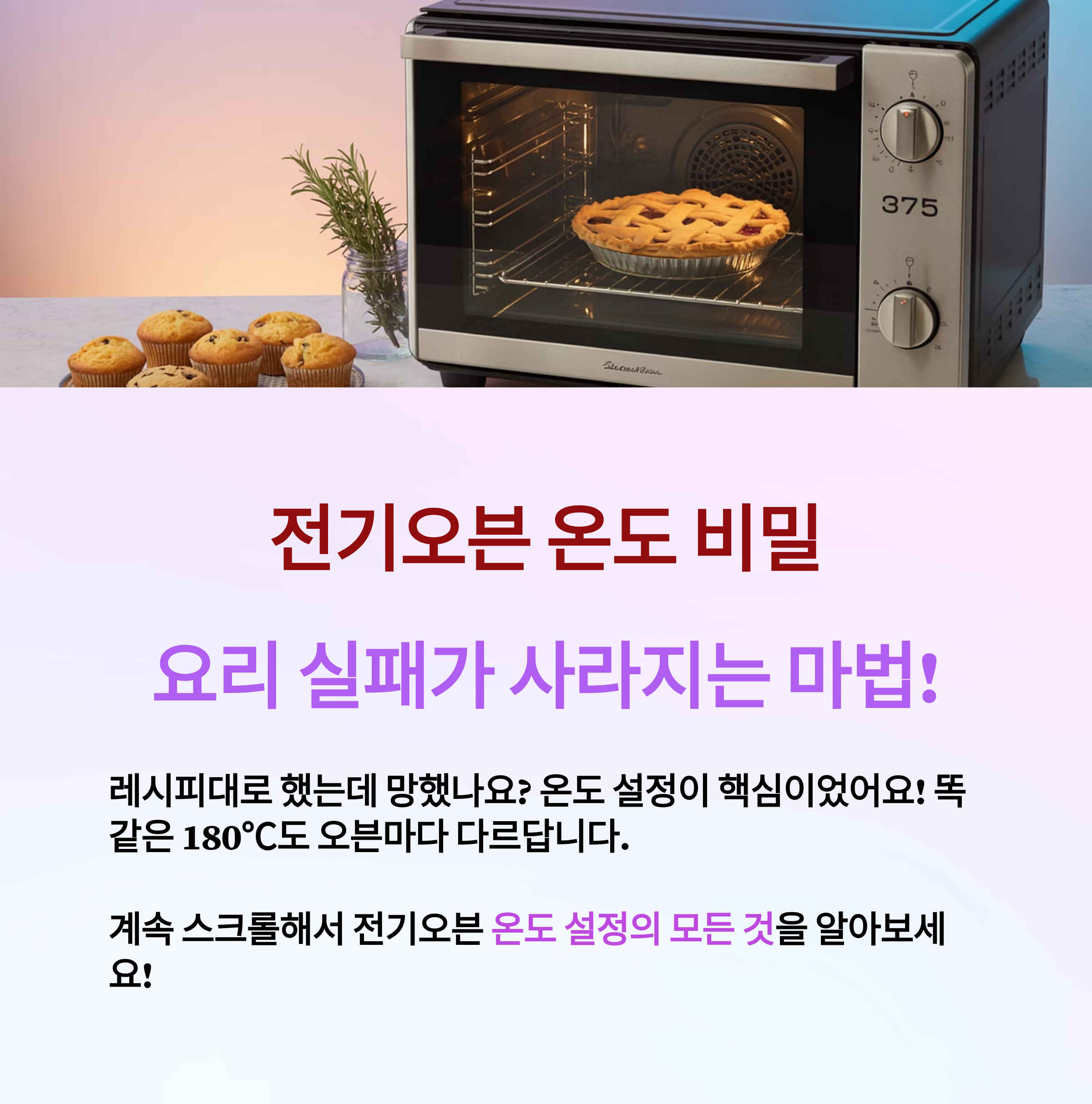 전기오븐 온도 설정 완벽 가이드