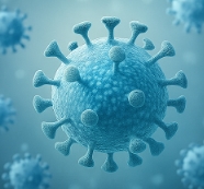 독감 예방접종 시기