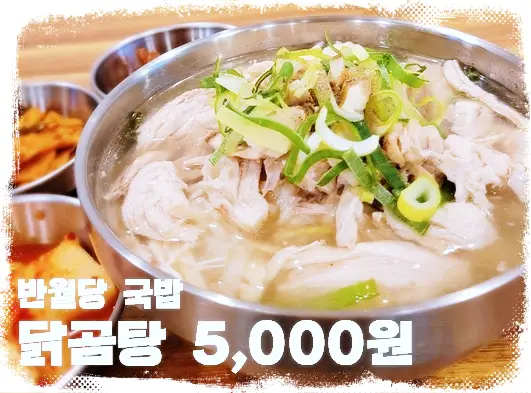 생생정보 국내산 닭곰탕 5000원 시래기국밥 4000원 닭곰탕 맛집 대구 반월당역 맛집 소개