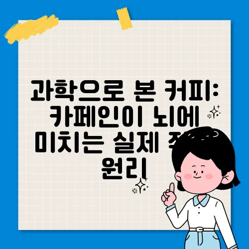 과학으로 본 커피: 카페인이 뇌에 미치는 실제 작용 원리