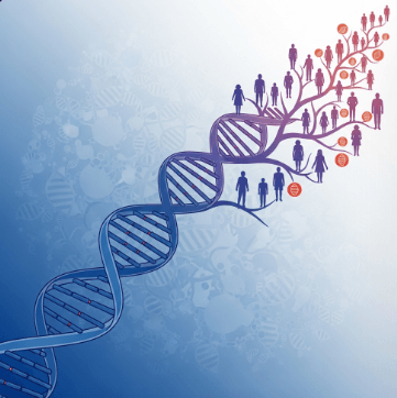 급성 심근경색 원인과 예방6