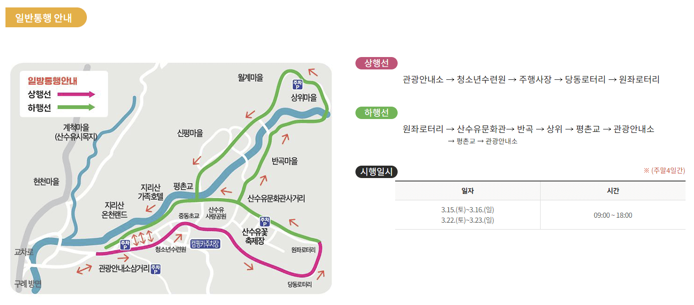 2025 구례 산수유축제